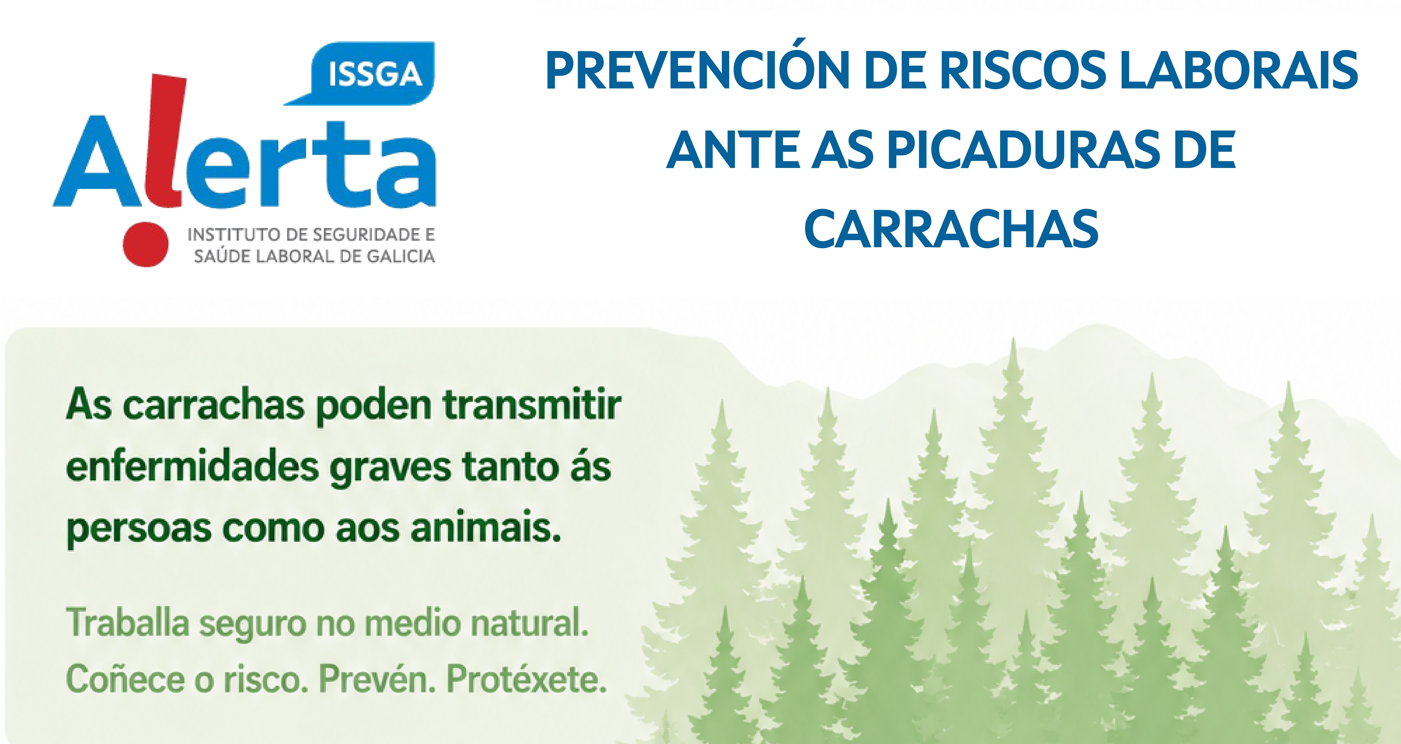 imaxe alerta carrachas