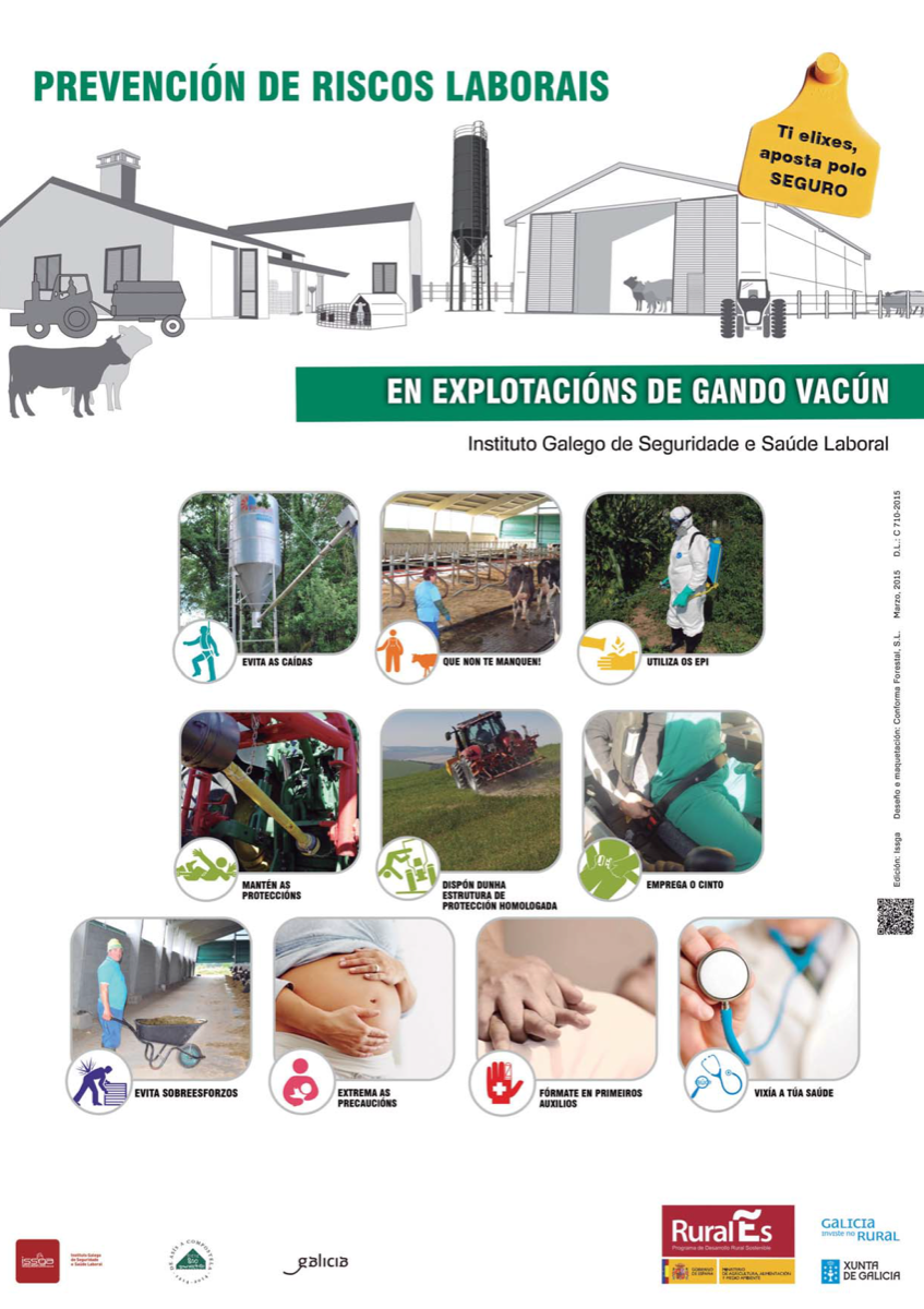 CARTEL: Prevención de riscos laborais en explotacións de gando vacún