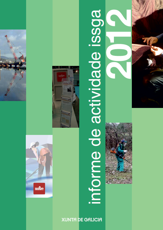 Informe de actividade 2012