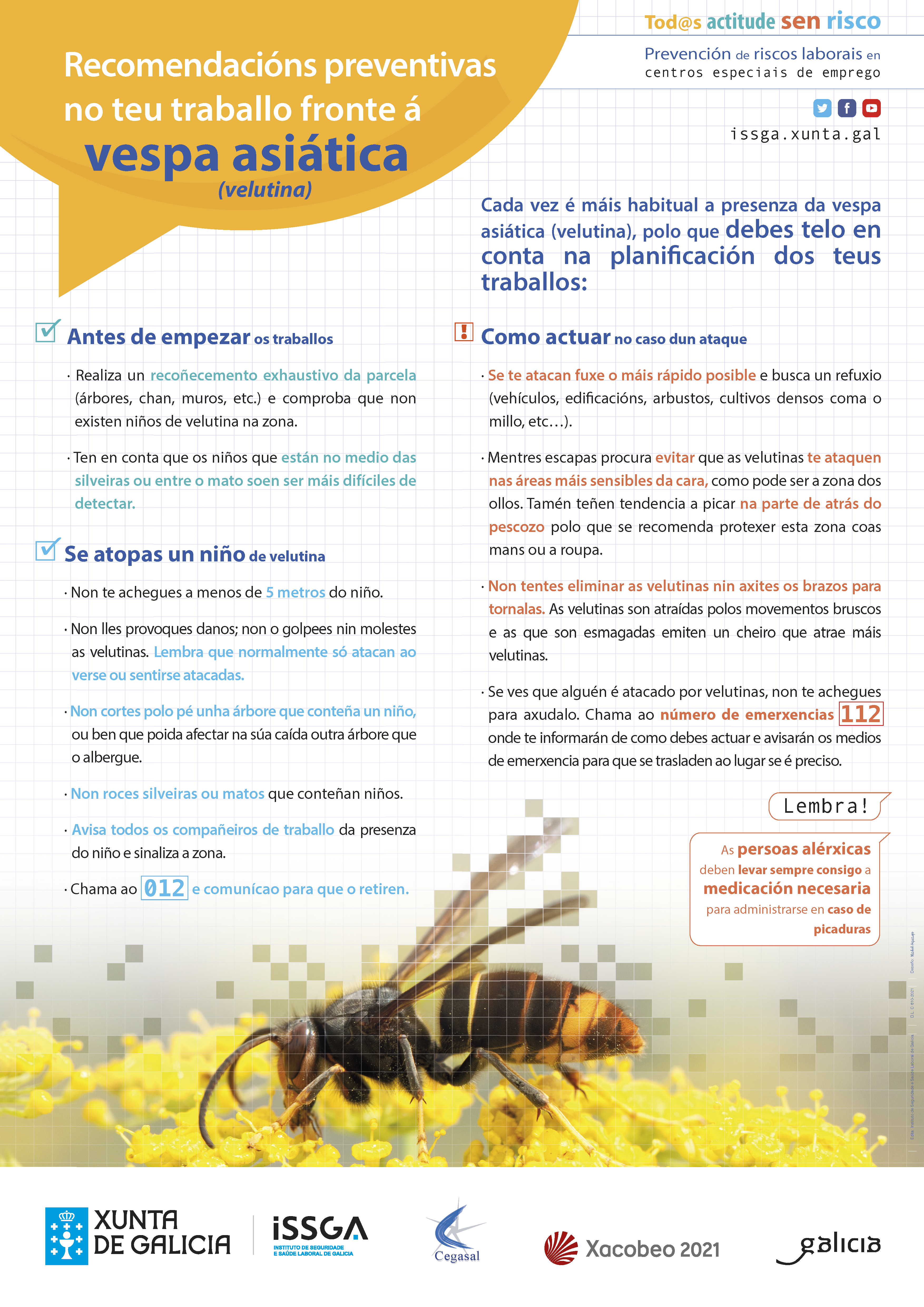 Prevención de riscos laborais fronte a vespa asiática (Vespa velutina)_PRL nos centros especiais de emprego