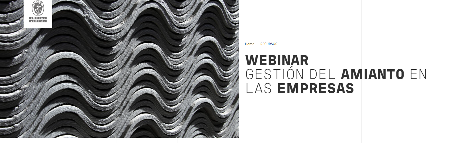 imaxe webinar