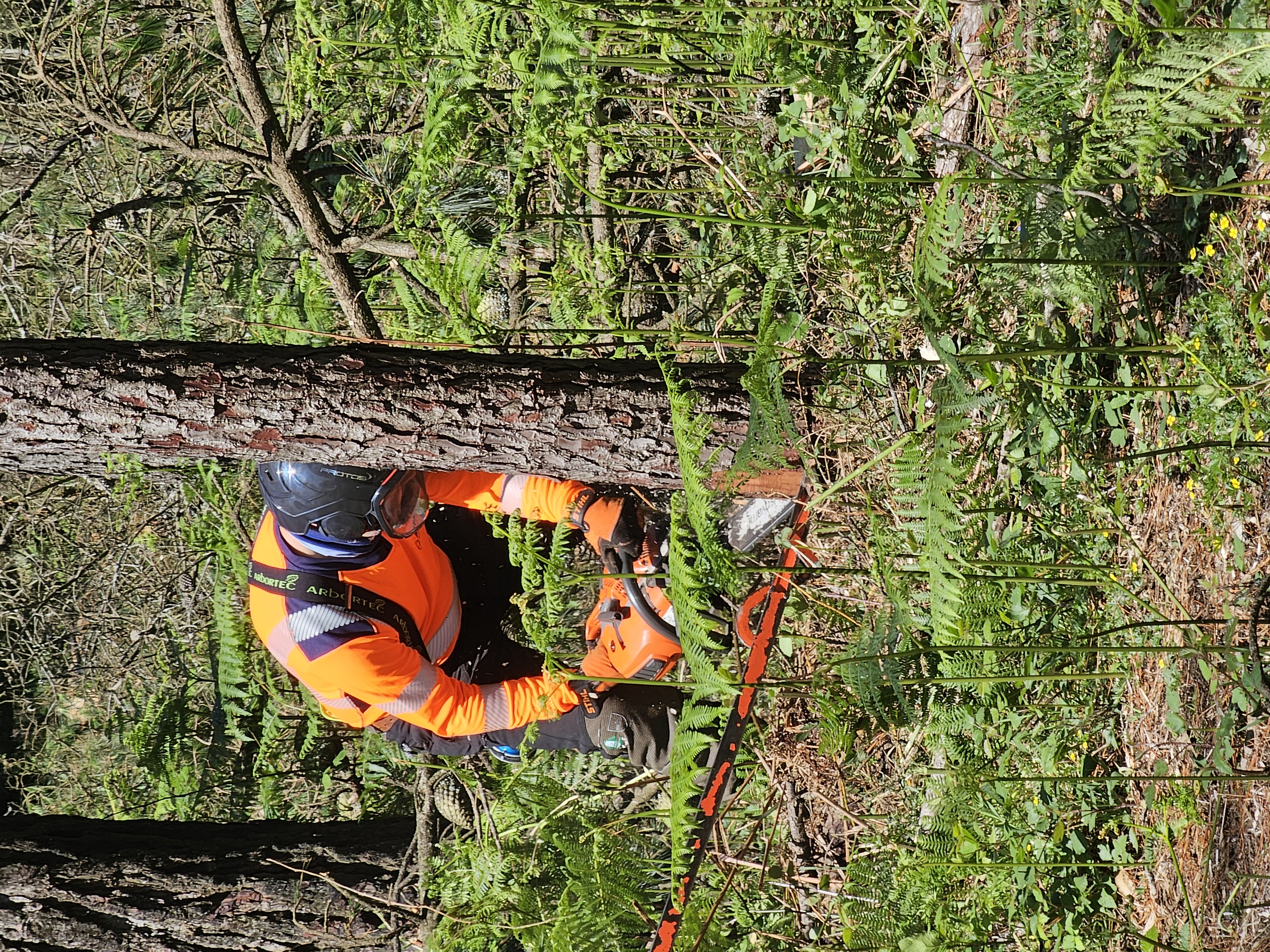 Foto campaña uso motosierra