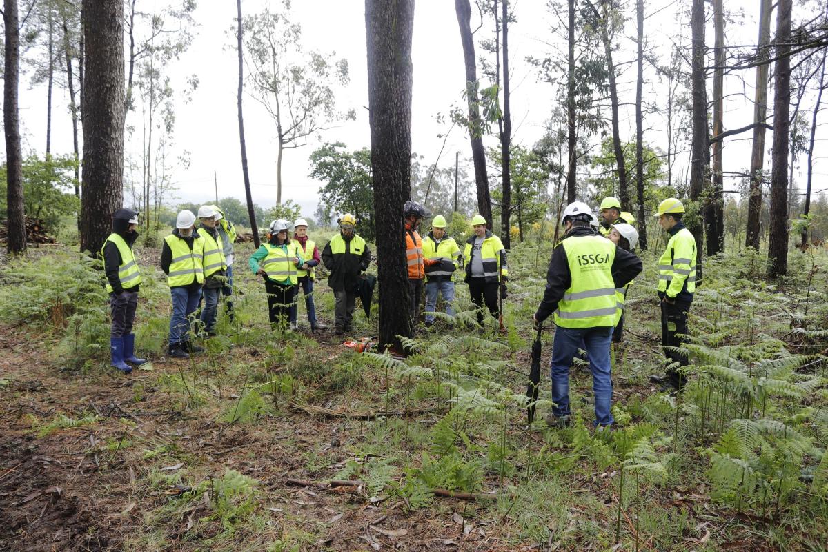 Imaxe curso forestal