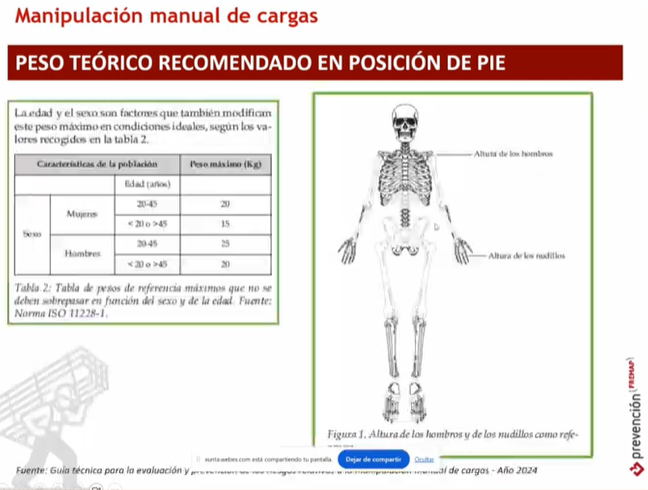 imaxe webinar guia manipulación de cargas