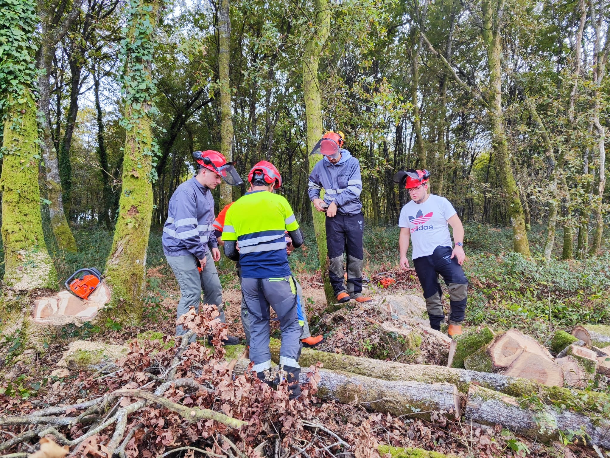 imaxe curso motoserra