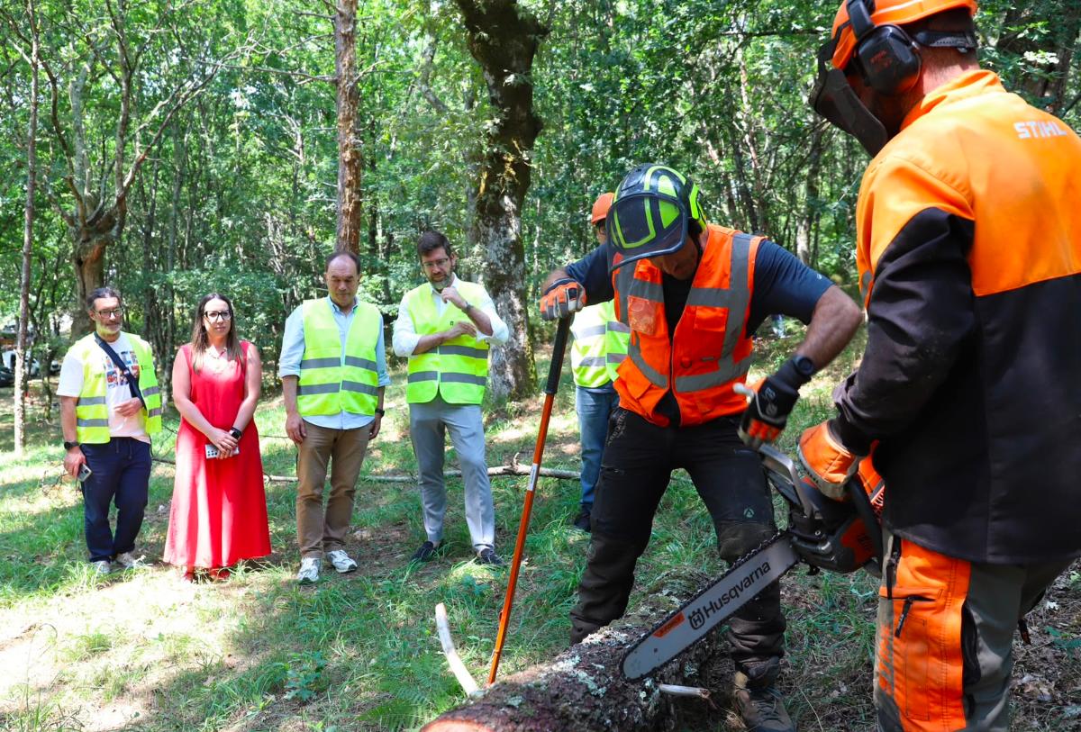 imaxe delegado territorial Pontevedra no curso de motoserra e rozadoira