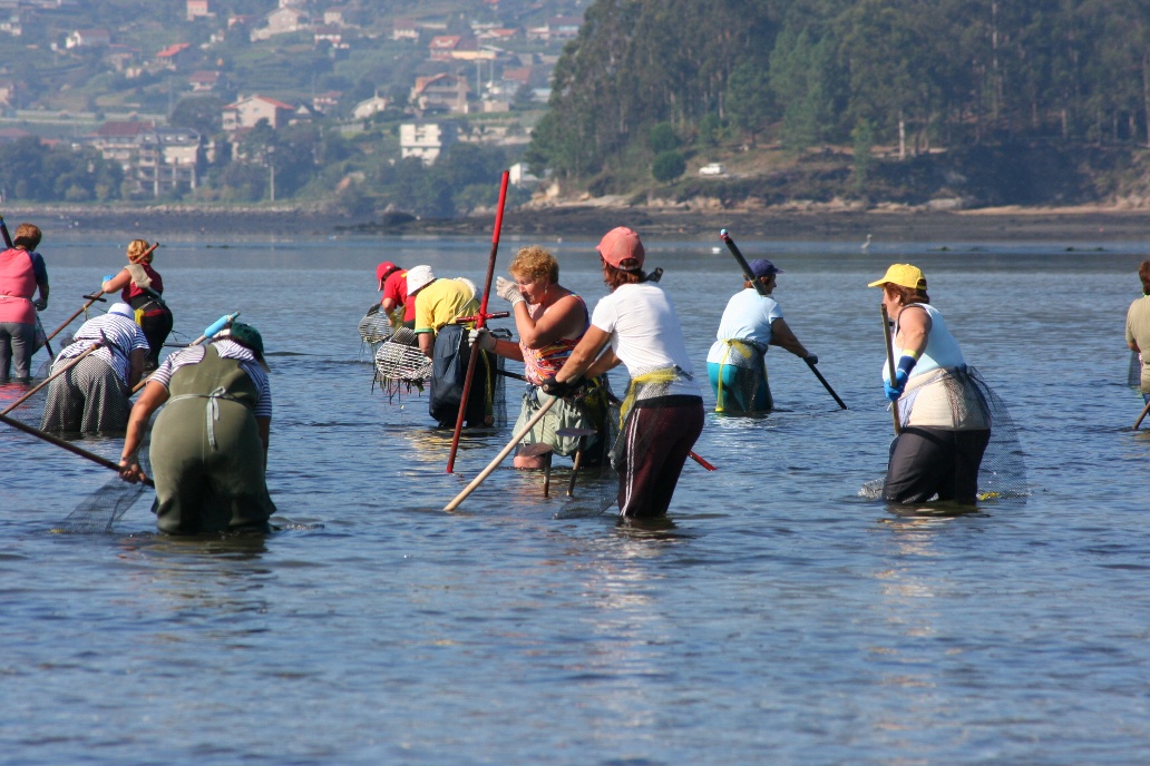 imaxe reunión CNSST