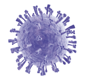Gripe A(H1N1) 2009.